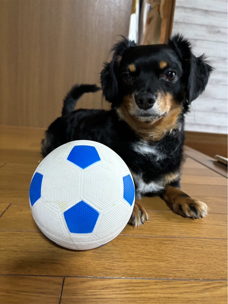 f:id:goukakuigakubu:20240528142010j:image