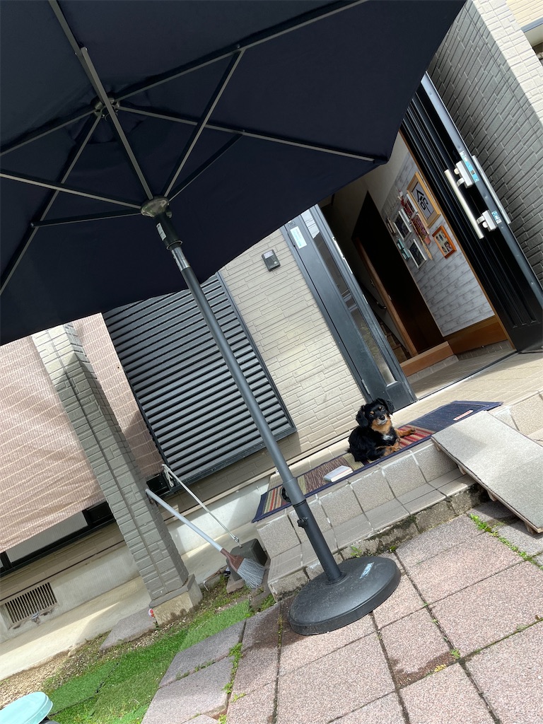 f:id:goukakuigakubu:20240529110525j:image f:id:goukakuigakubu:20240529110525j:image