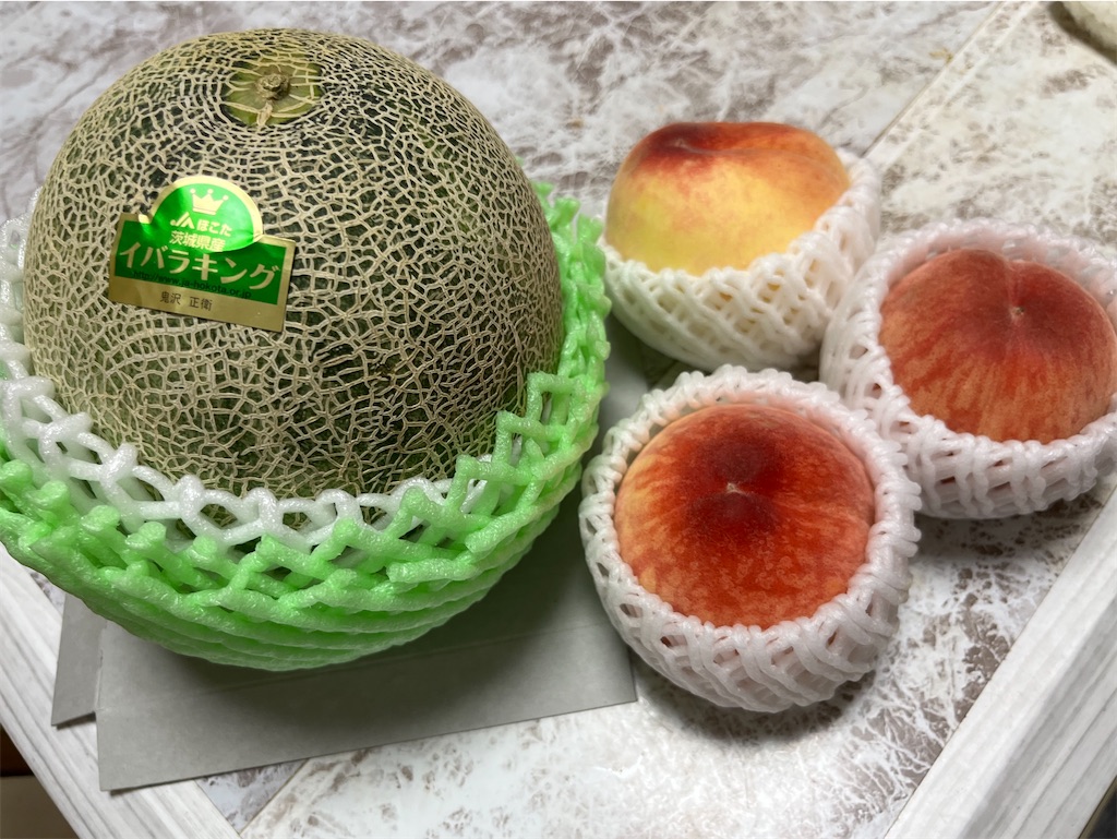 f:id:goukakuigakubu:20240531084239j:image