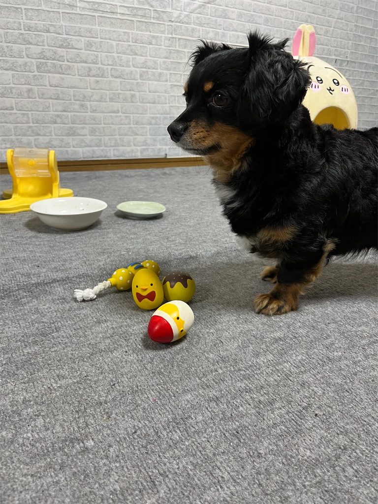 f:id:goukakuigakubu:20240601103618j:image