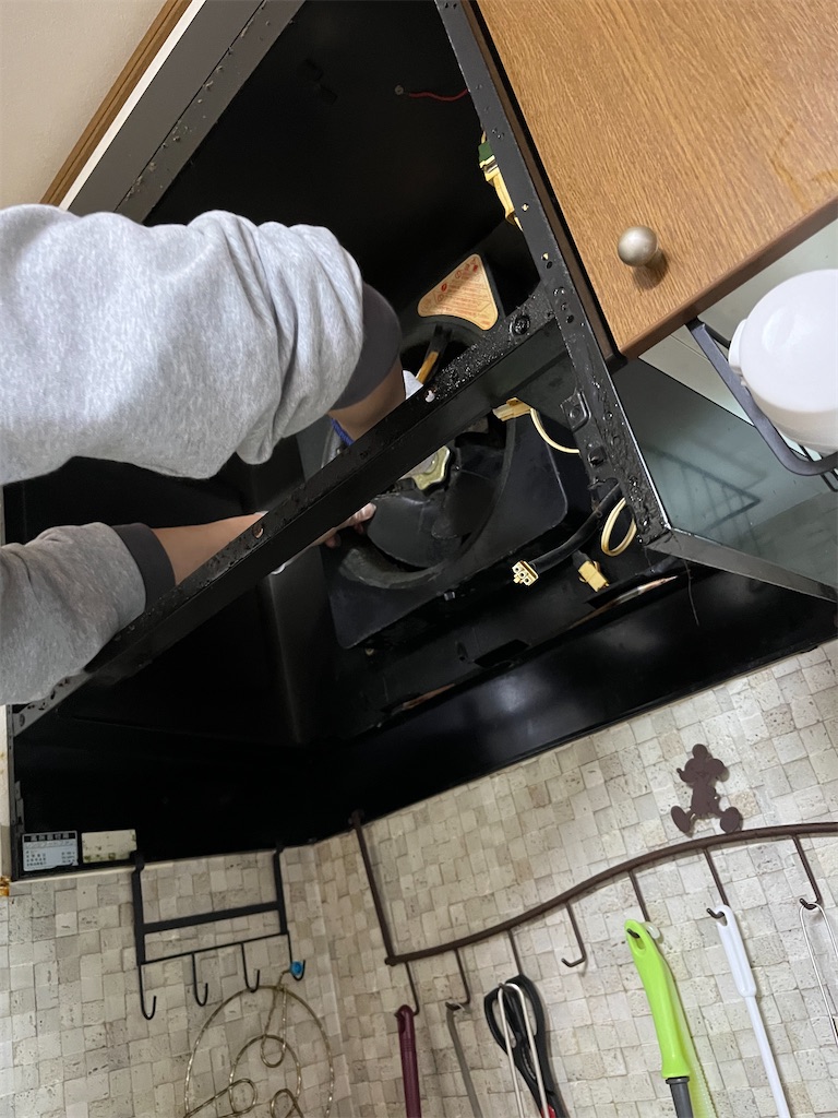 f:id:goukakuigakubu:20240603085604j:image f:id:goukakuigakubu:20240603085604j:image