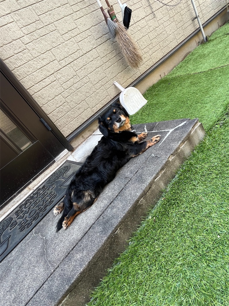 f:id:goukakuigakubu:20240605102427j:image