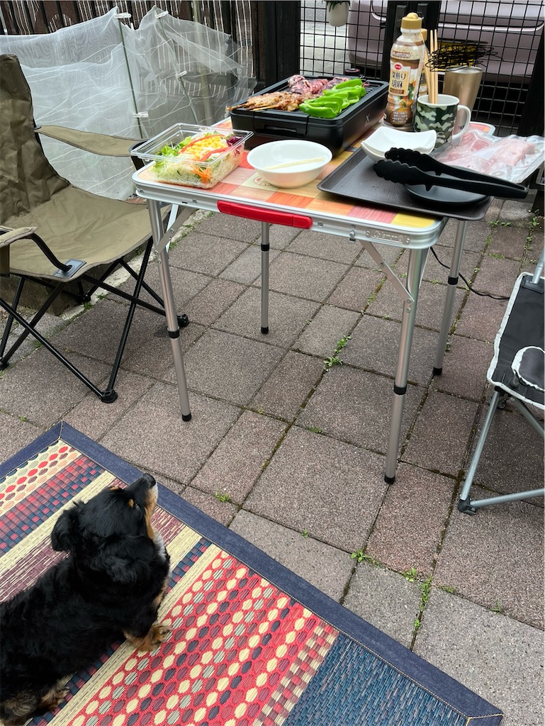 f:id:goukakuigakubu:20240607093915j:image