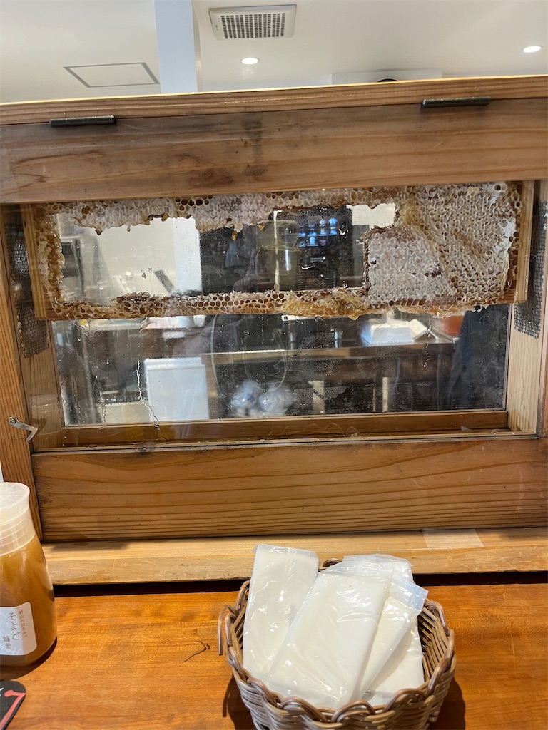 f:id:goukakuigakubu:20240610090823j:image