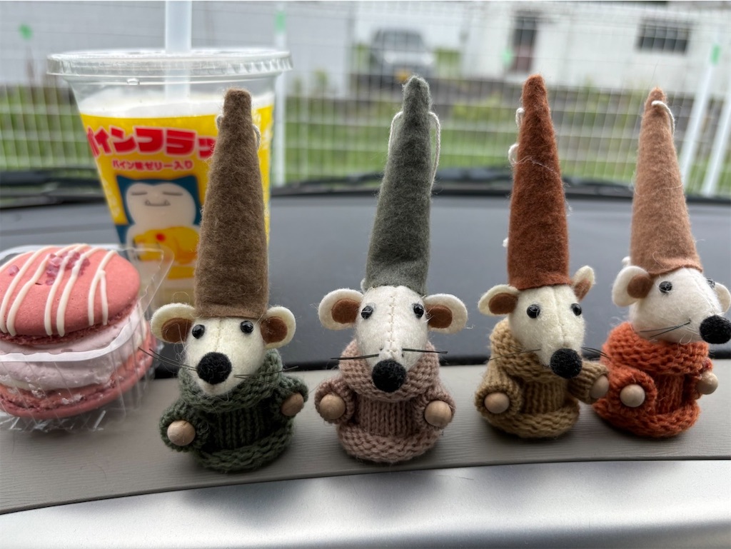 f:id:goukakuigakubu:20240611102605j:image