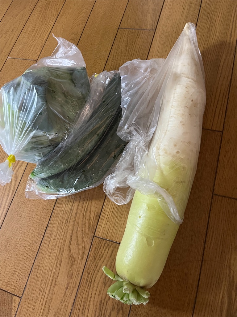 f:id:goukakuigakubu:20240615091323j:image