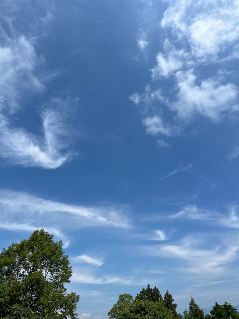 f:id:goukakuigakubu:20240617072237j:image