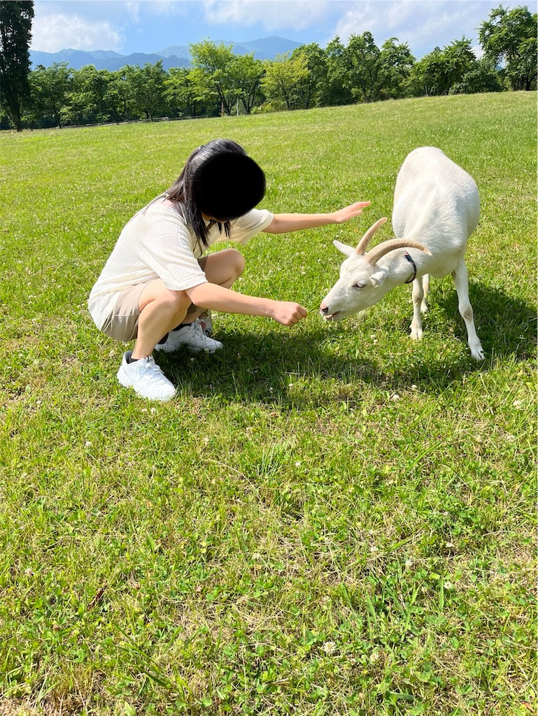 f:id:goukakuigakubu:20240617075000j:image