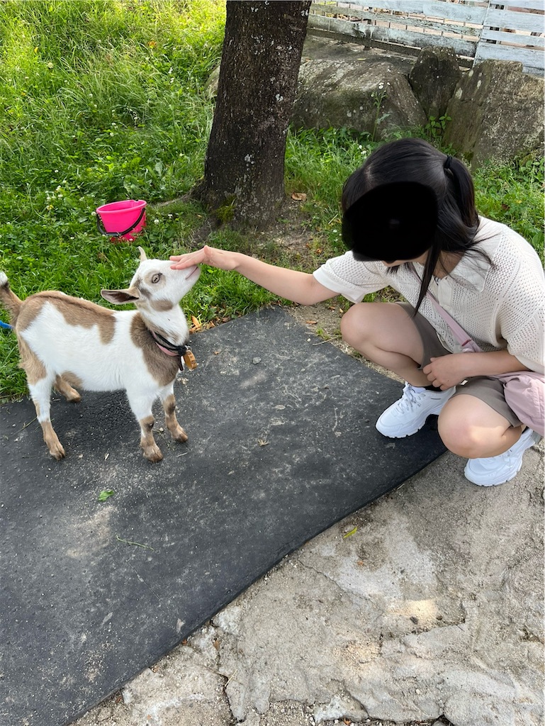 f:id:goukakuigakubu:20240617075240j:image