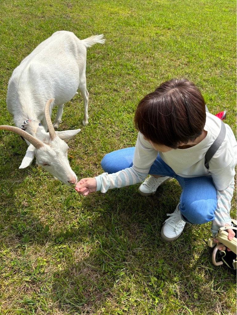f:id:goukakuigakubu:20240617075823j:image