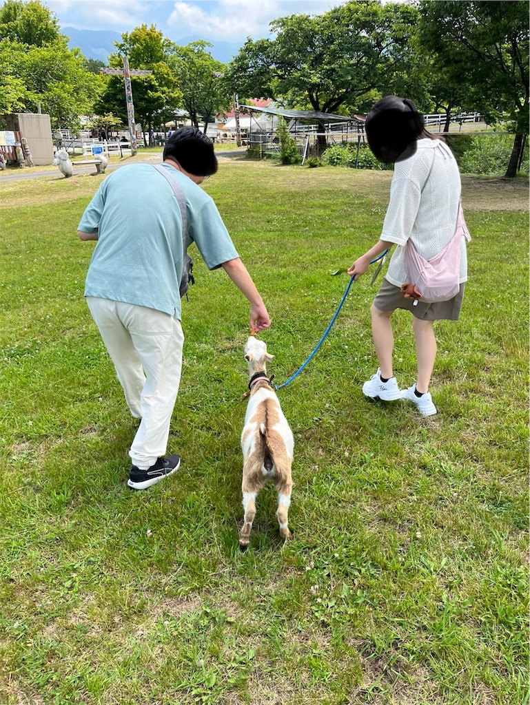 f:id:goukakuigakubu:20240617075949j:image