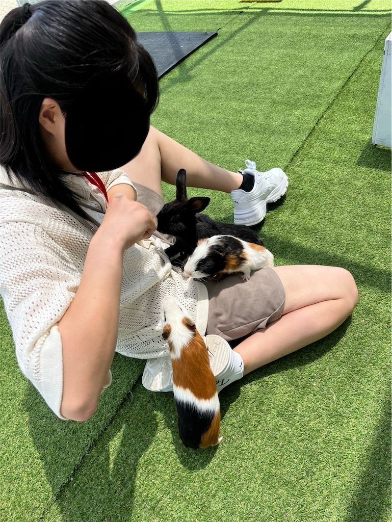 f:id:goukakuigakubu:20240617081743j:image