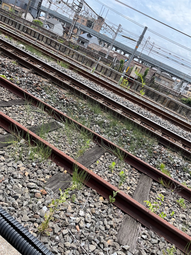 f:id:goukakuigakubu:20240623072615j:image