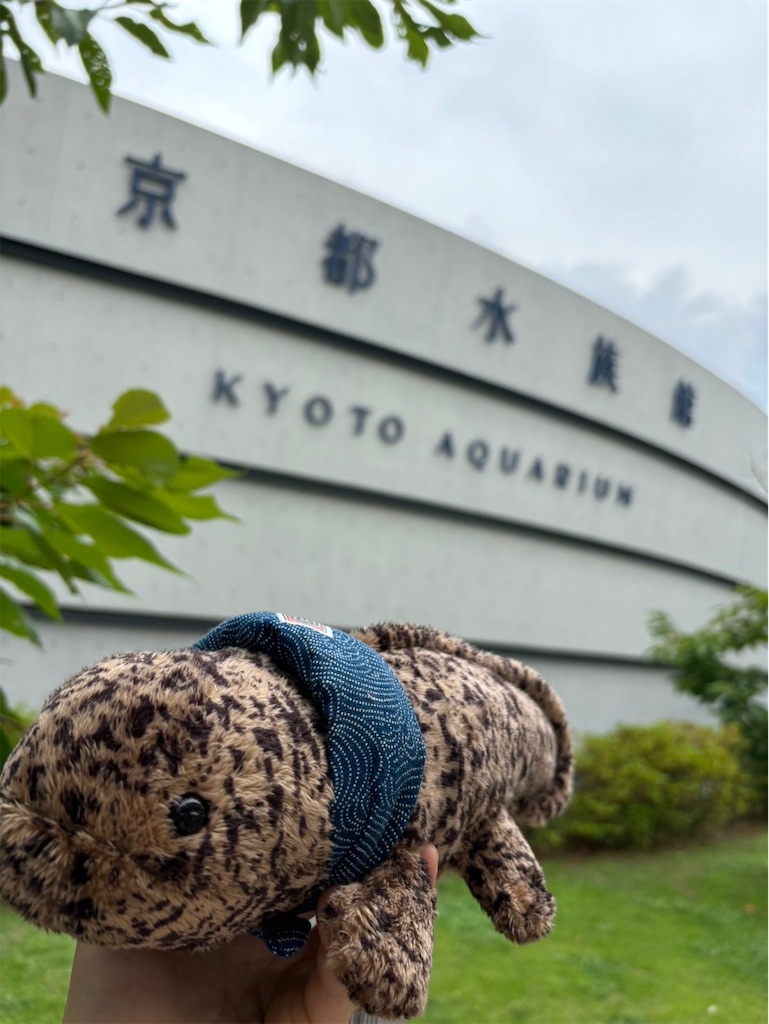 f:id:goukakuigakubu:20240624112900j:image