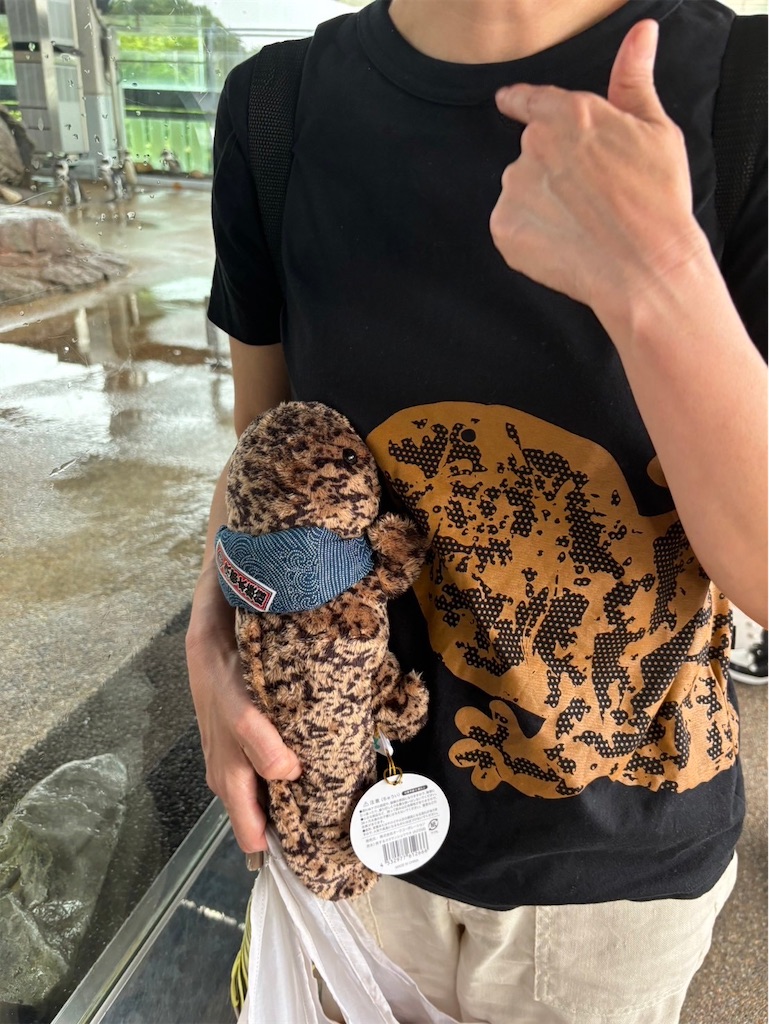 f:id:goukakuigakubu:20240624113904j:image