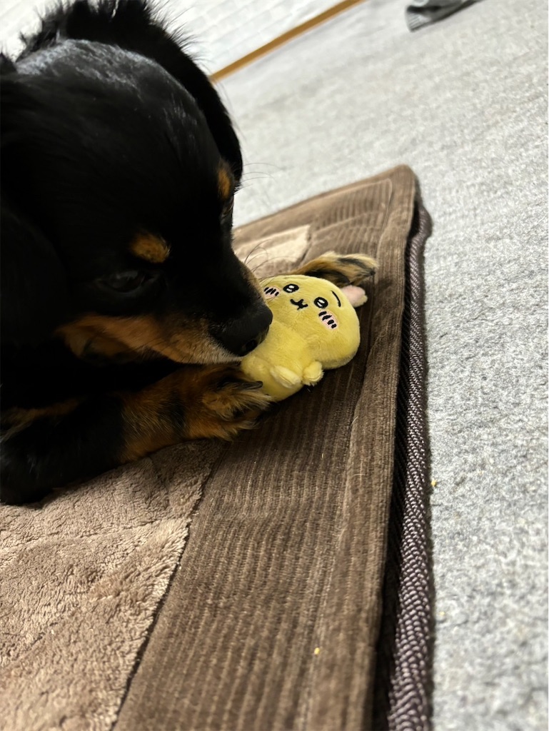 f:id:goukakuigakubu:20240624120631j:image