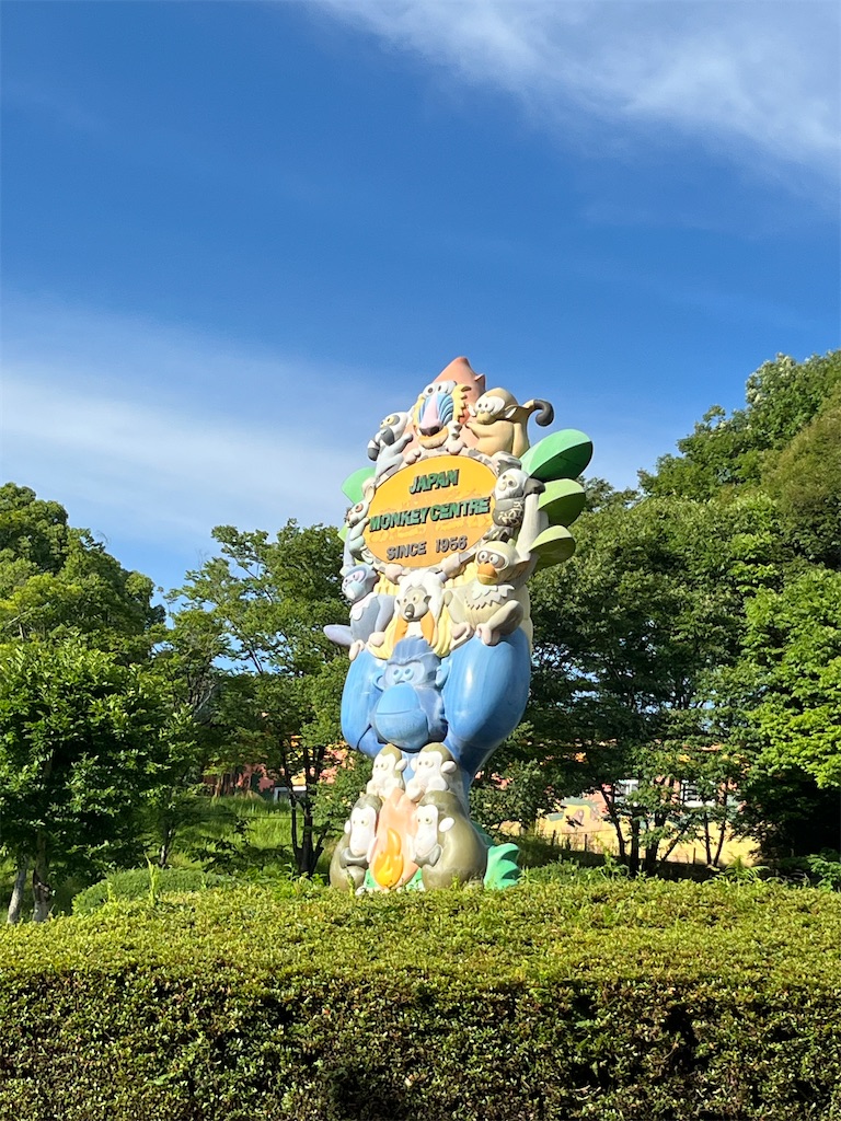 f:id:goukakuigakubu:20240630200132j:image