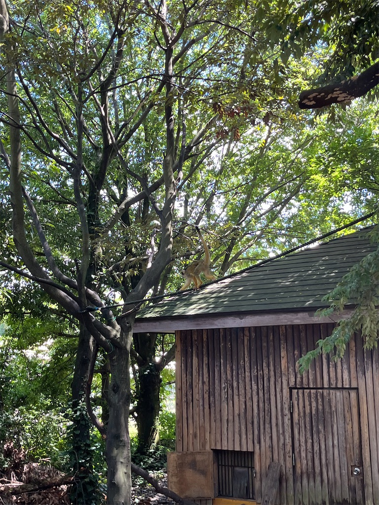 f:id:goukakuigakubu:20240630200528j:image