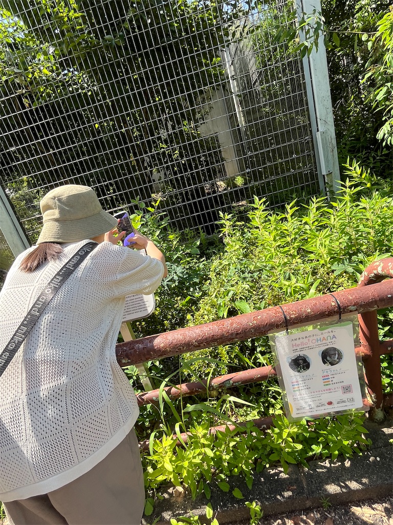f:id:goukakuigakubu:20240630202517j:image