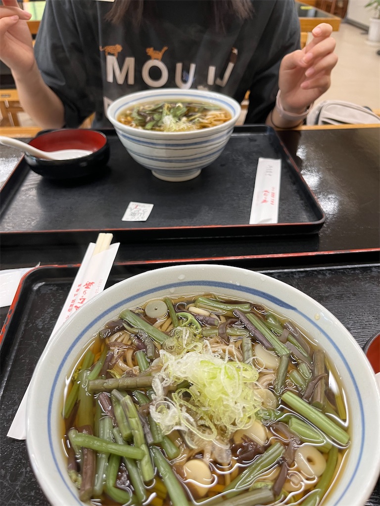 f:id:goukakuigakubu:20240701093036j:image