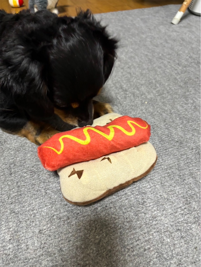 f:id:goukakuigakubu:20240703094145j:image f:id:goukakuigakubu:20240703094145j:image