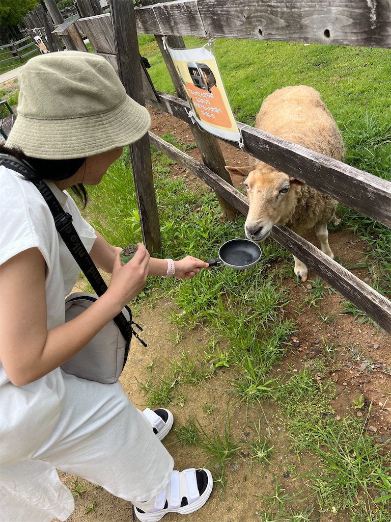 f:id:goukakuigakubu:20240716150322j:image