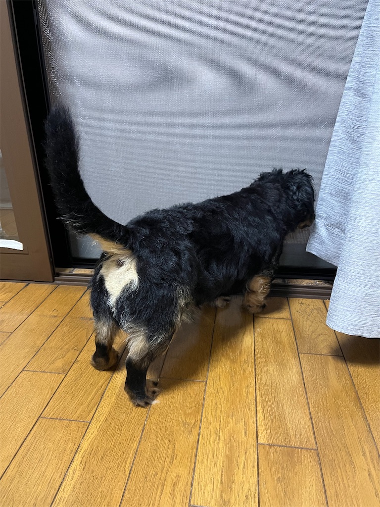 f:id:goukakuigakubu:20240716153400j:image