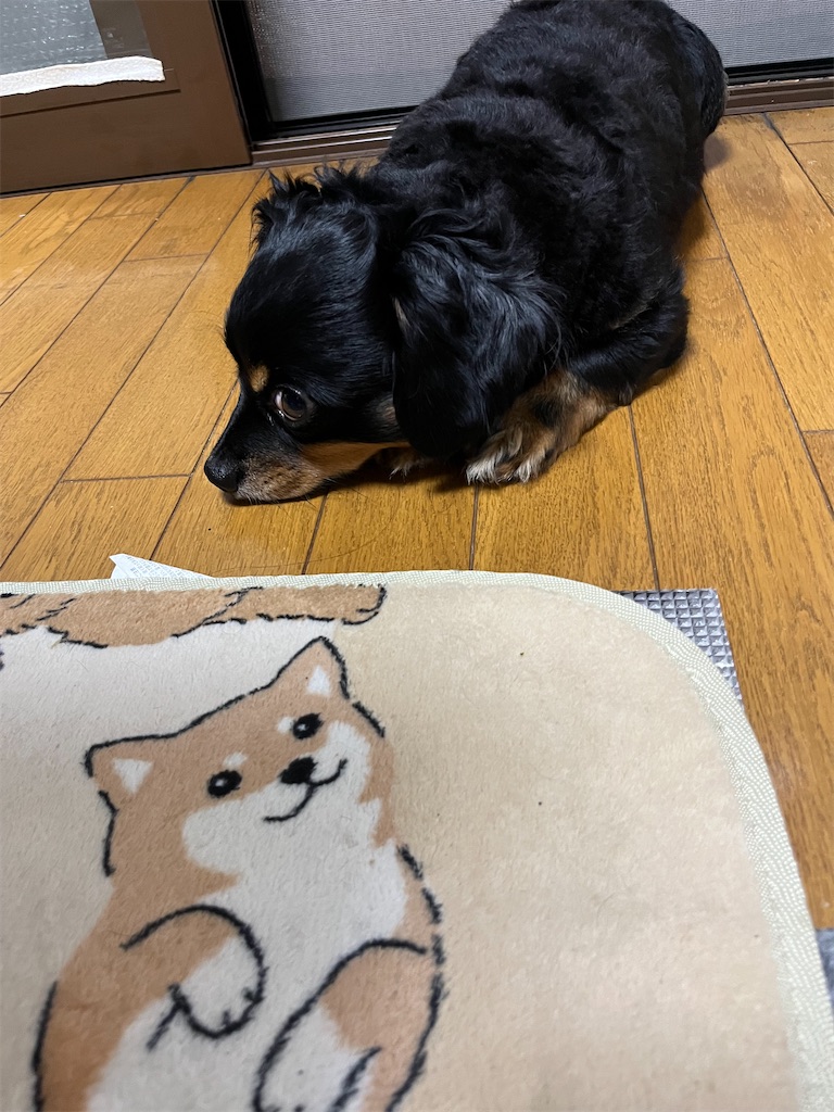 f:id:goukakuigakubu:20240716153402j:image