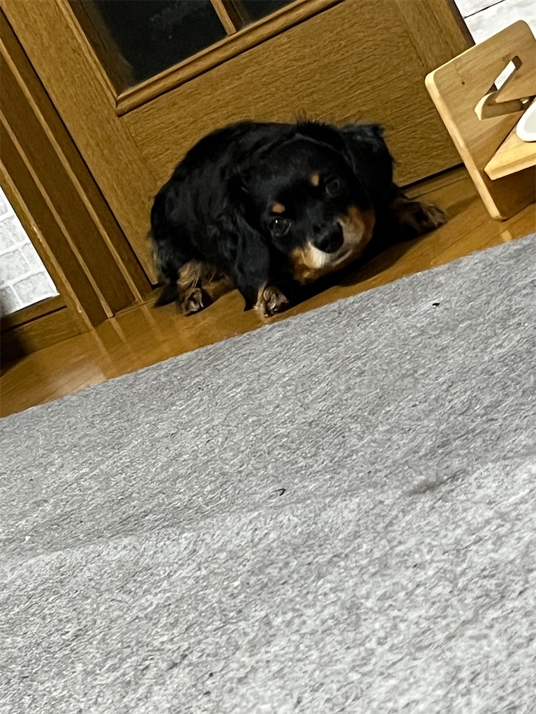 f:id:goukakuigakubu:20240717145933j:image