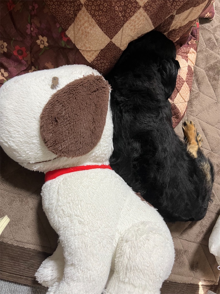 f:id:goukakuigakubu:20240719104321j:image f:id:goukakuigakubu:20240719104321j:image
