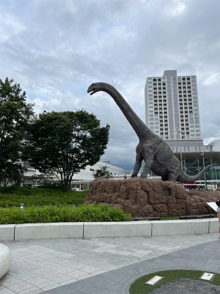 f:id:goukakuigakubu:20240722094008j:image f:id:goukakuigakubu:20240722094008j:image
