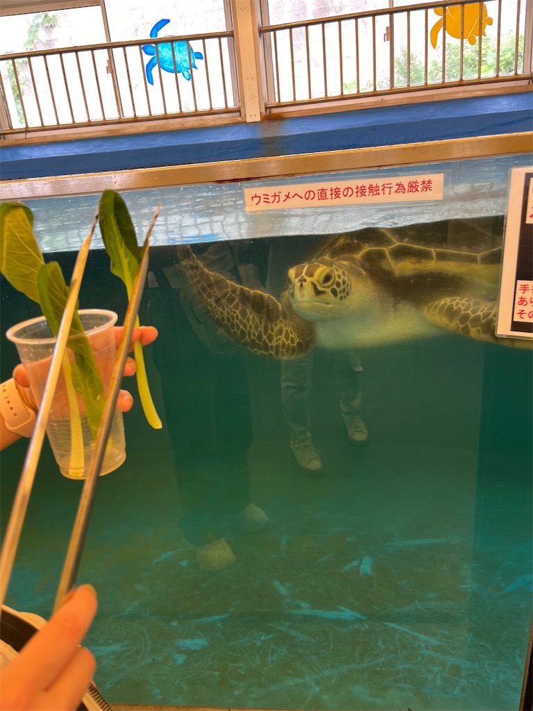 f:id:goukakuigakubu:20240723091925j:image