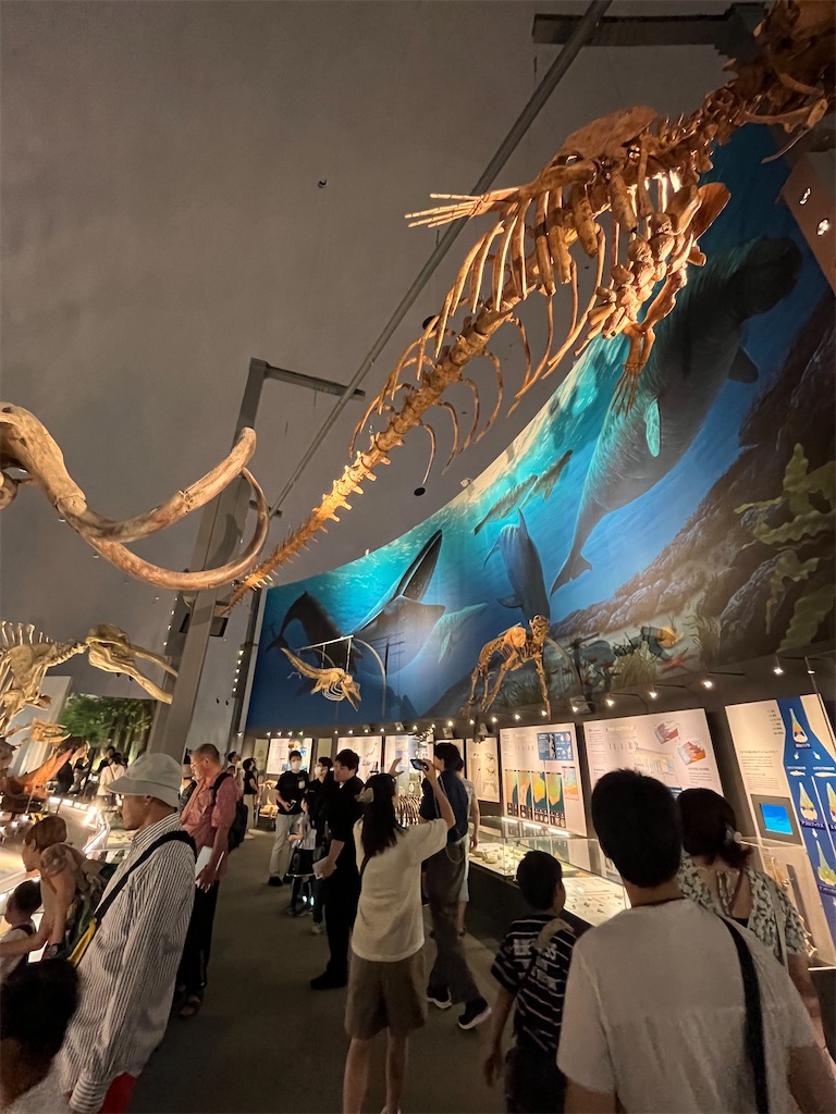f:id:goukakuigakubu:20240724083033j:image f:id:goukakuigakubu:20240724083033j:image
