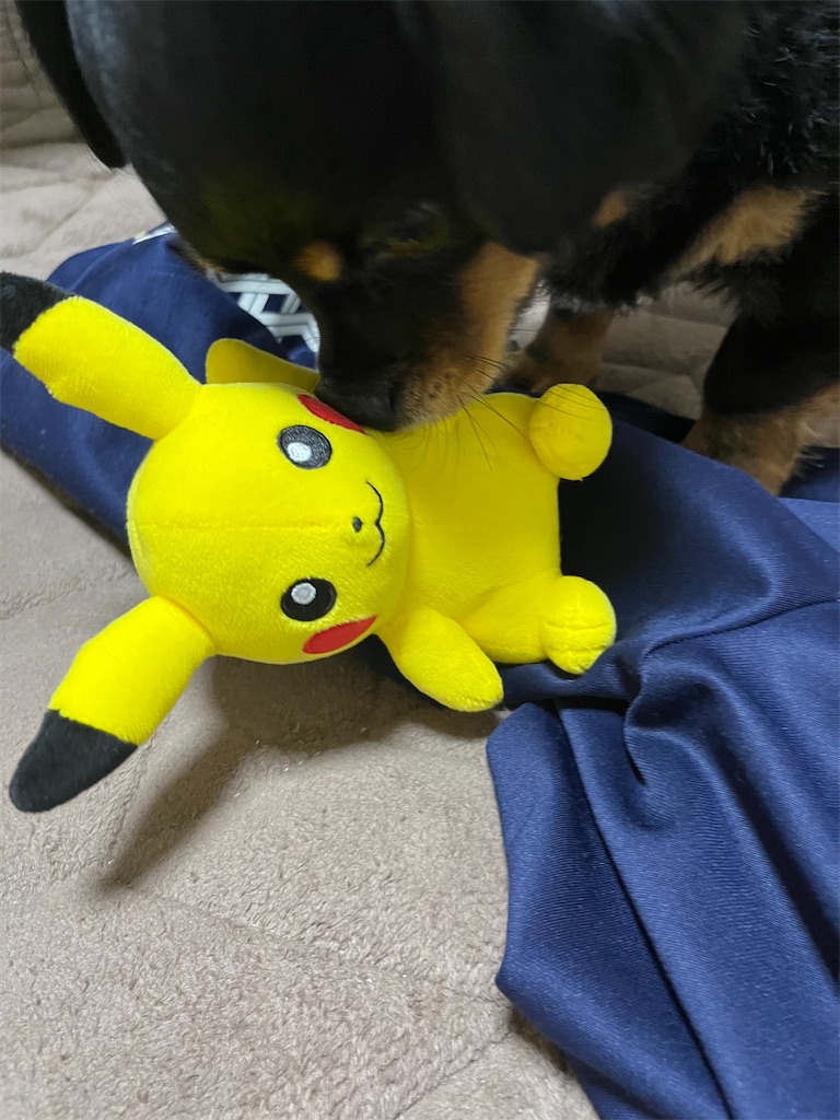 f:id:goukakuigakubu:20240729121449j:image