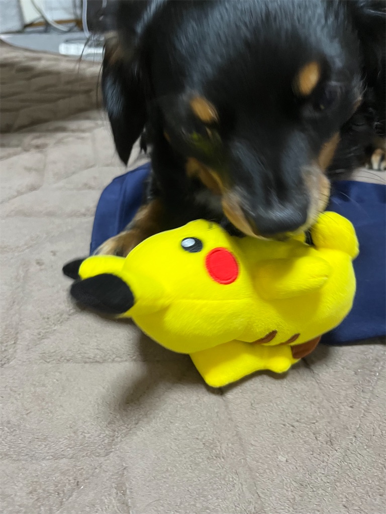 f:id:goukakuigakubu:20240729121452j:image