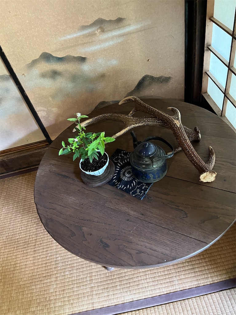 f:id:goukakuigakubu:20240801085511j:image