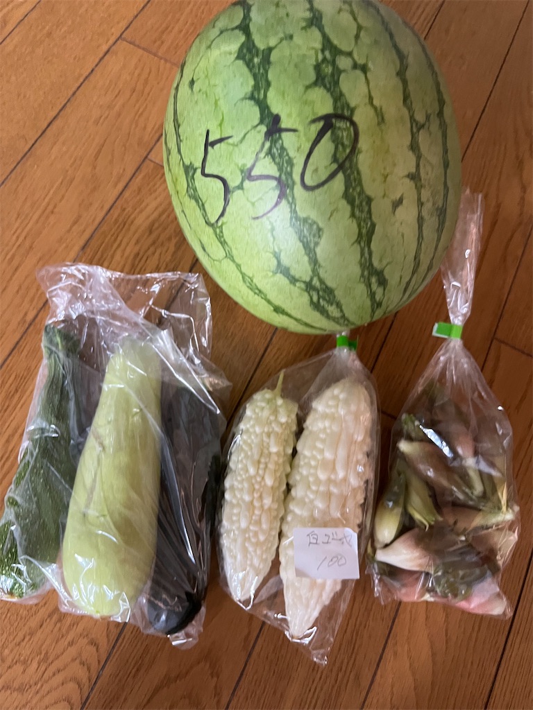 f:id:goukakuigakubu:20240804145144j:image