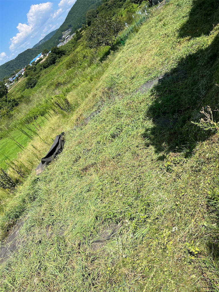 f:id:goukakuigakubu:20240817181812j:image
