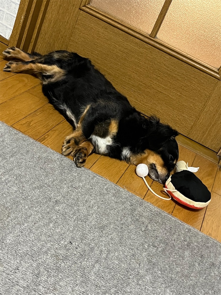 f:id:goukakuigakubu:20240817183643j:image