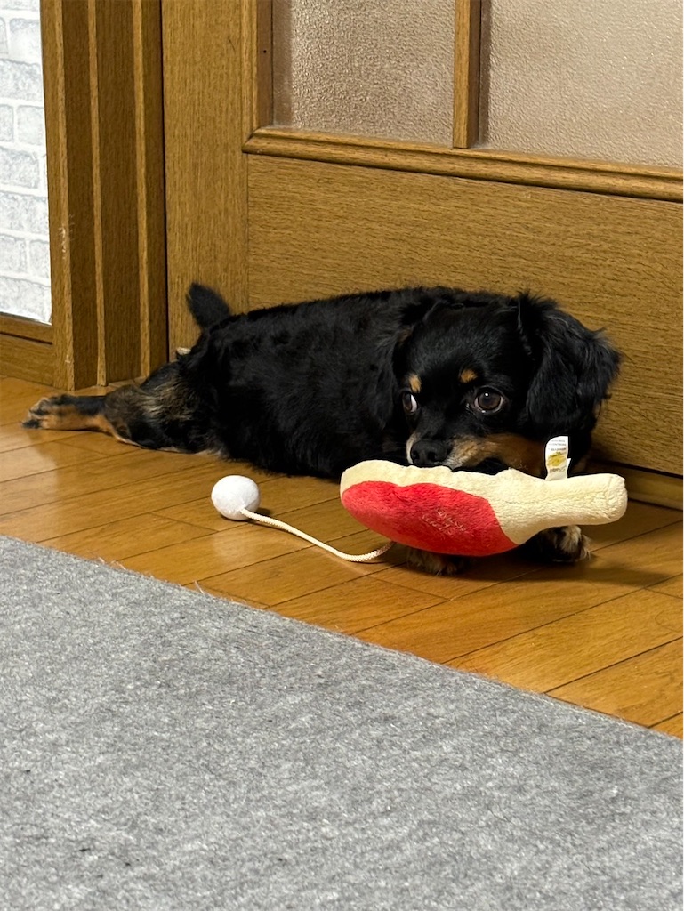 f:id:goukakuigakubu:20240817183645j:image