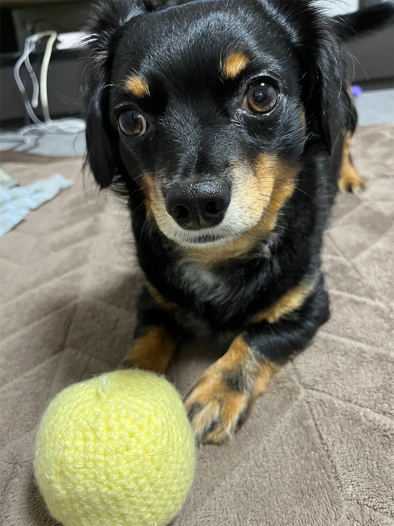 f:id:goukakuigakubu:20240822112019j:image
