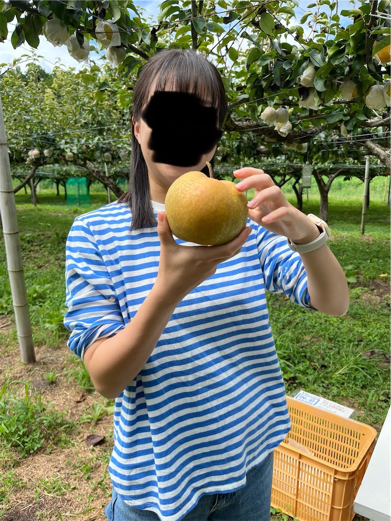 f:id:goukakuigakubu:20240826124114j:image