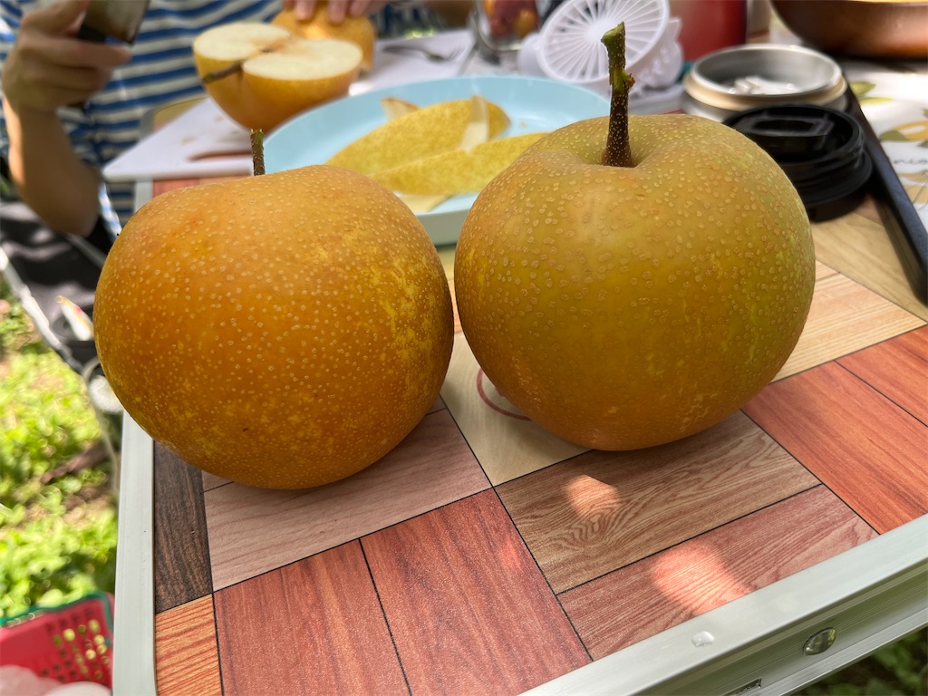 f:id:goukakuigakubu:20240826124241j:image