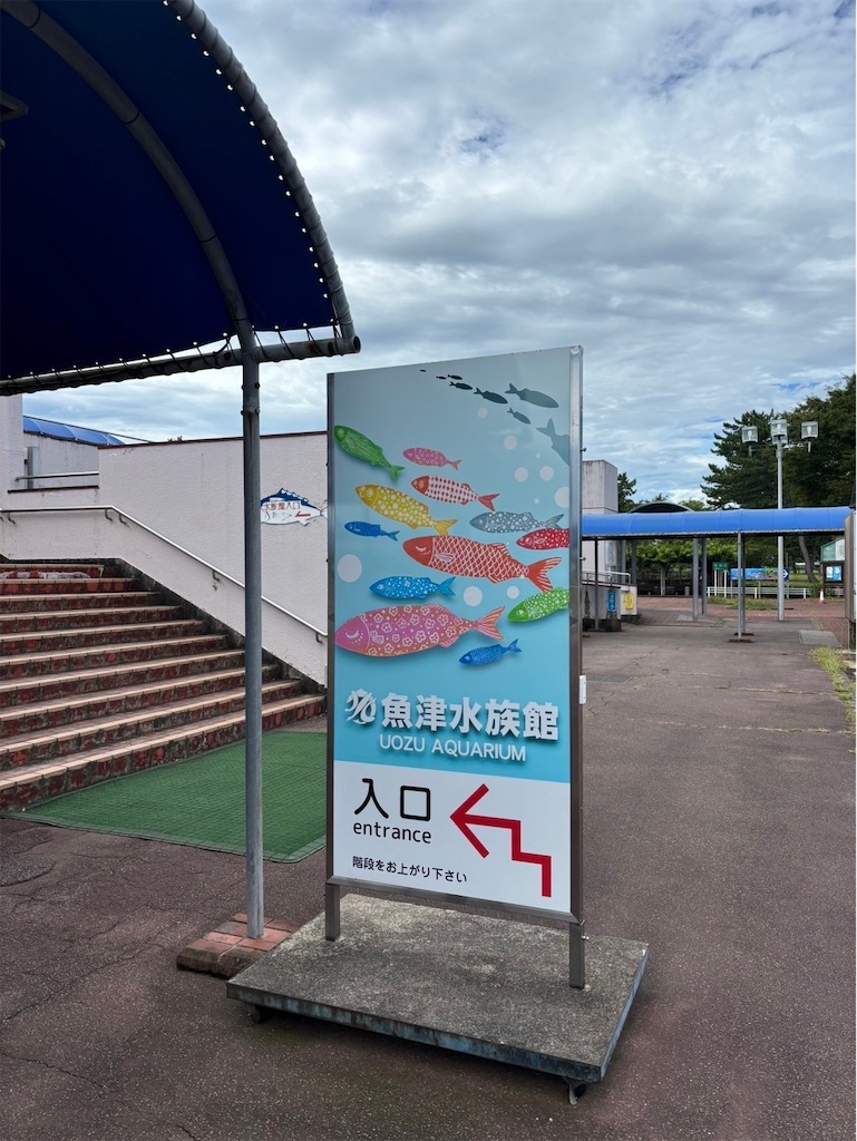 f:id:goukakuigakubu:20240828102133j:image