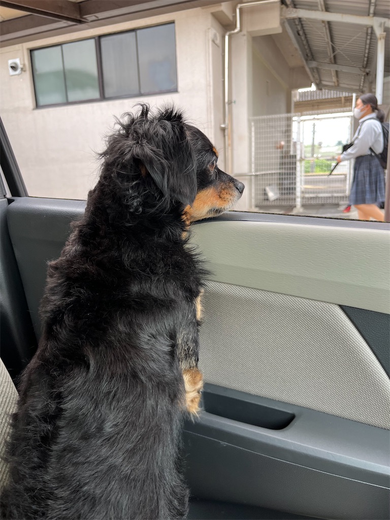 f:id:goukakuigakubu:20240905123030j:image