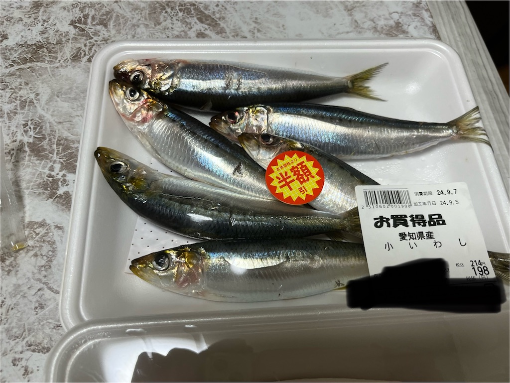 f:id:goukakuigakubu:20240906183439j:image