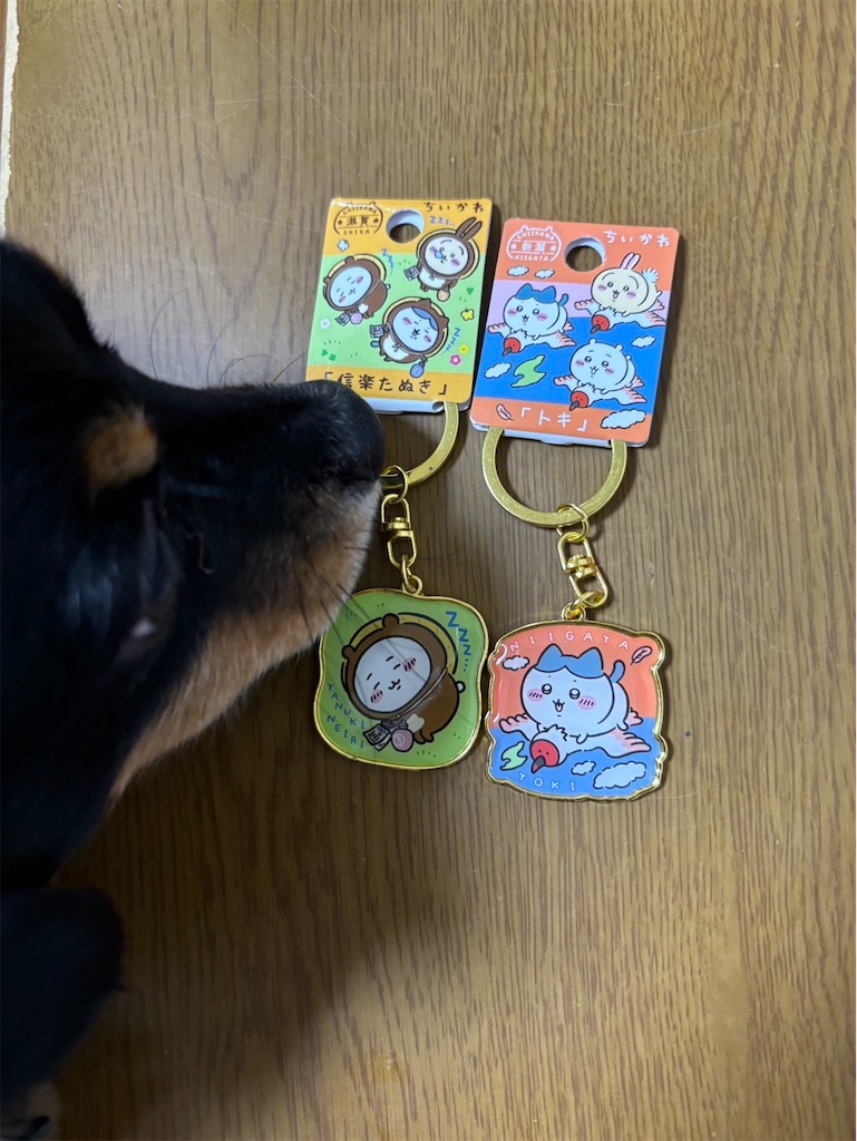 f:id:goukakuigakubu:20240909104646j:image
