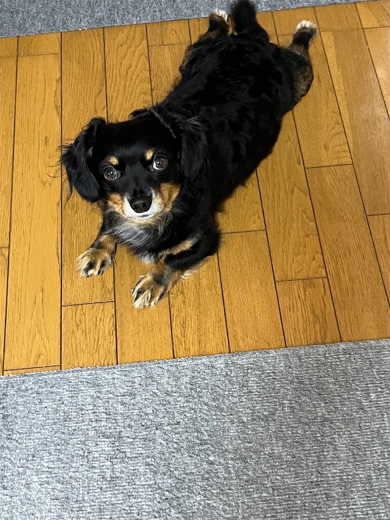 f:id:goukakuigakubu:20240913093454j:image