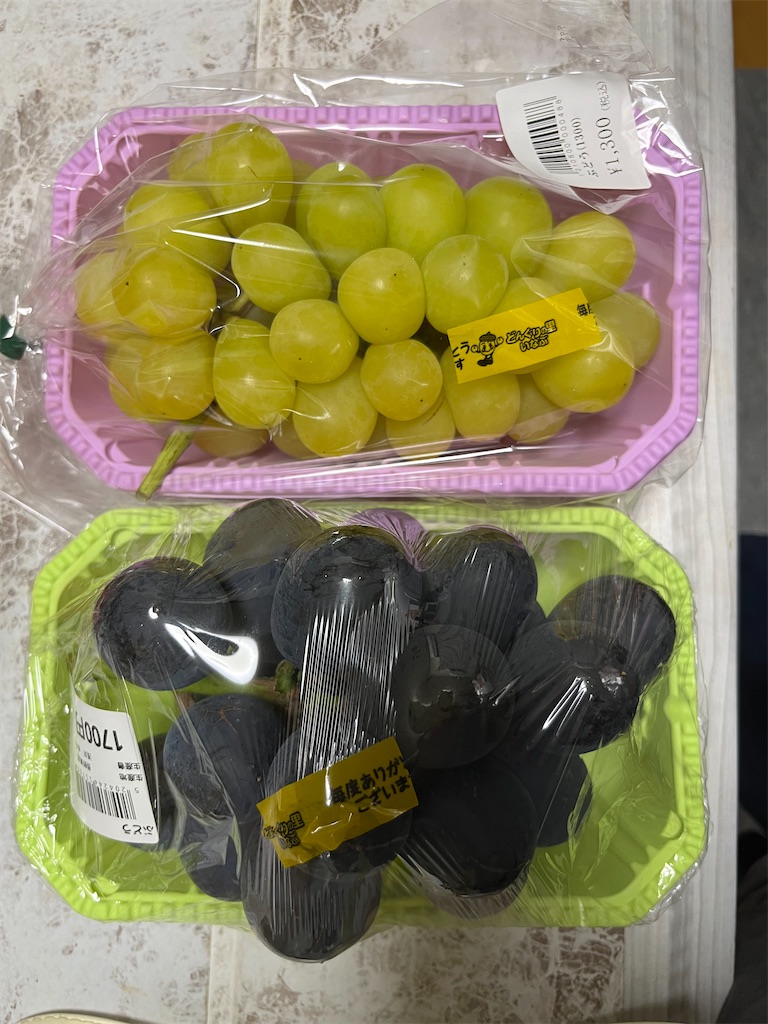 f:id:goukakuigakubu:20240914095330j:image