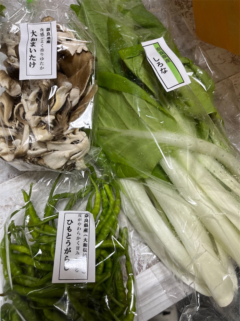 f:id:goukakuigakubu:20240922212007j:image